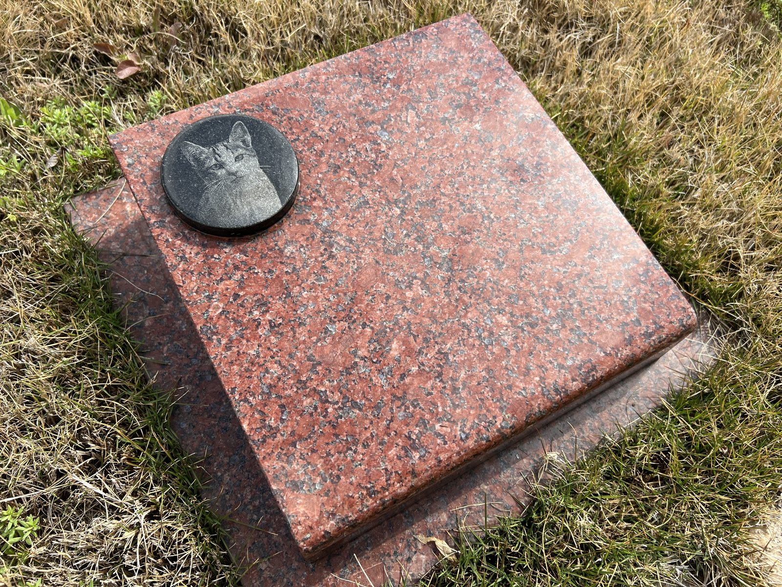 大将山霊苑 ペットと一緒に入れる樹木葬 プレート