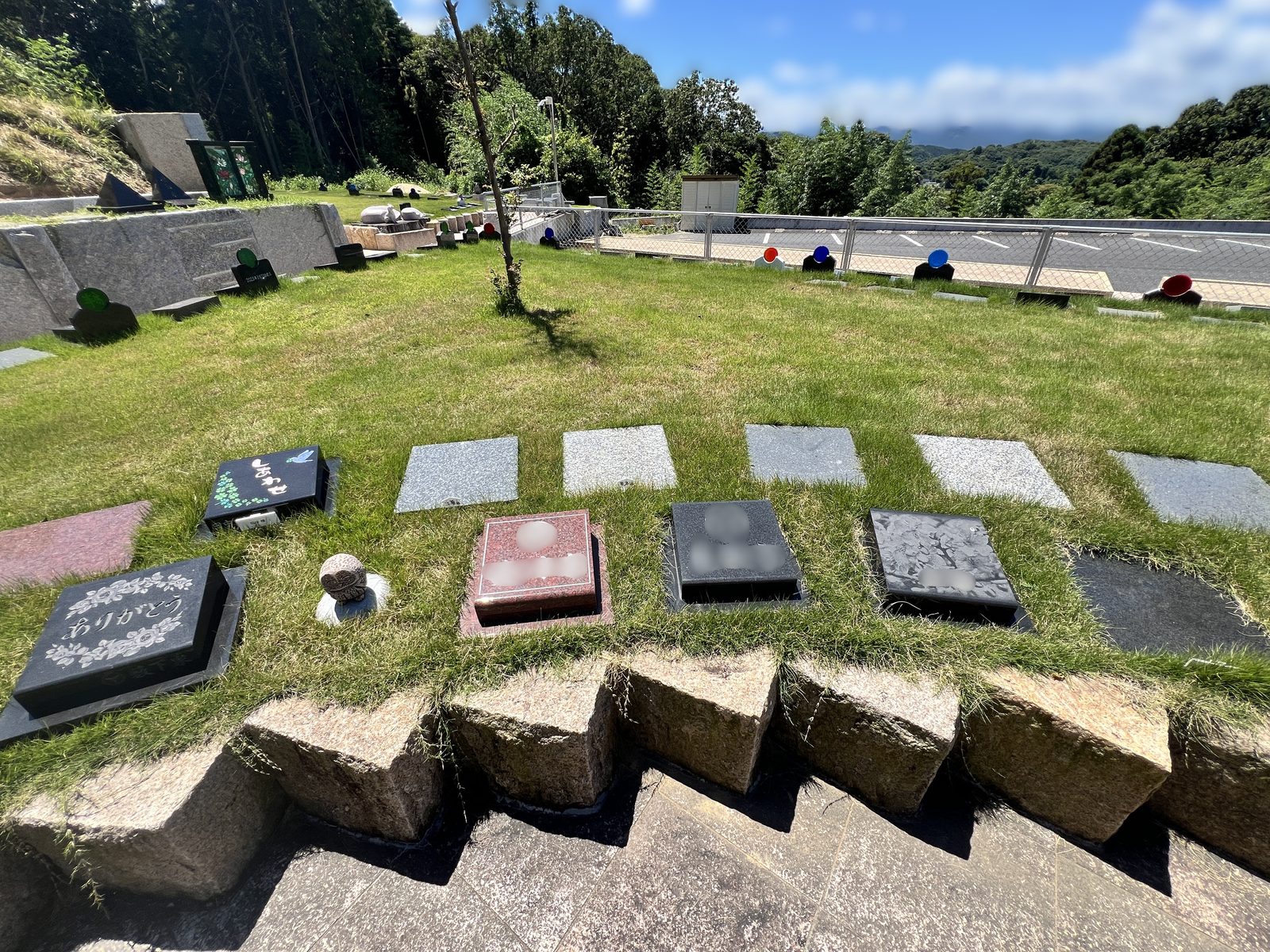 あじさいの丘 区画の並びと山並み