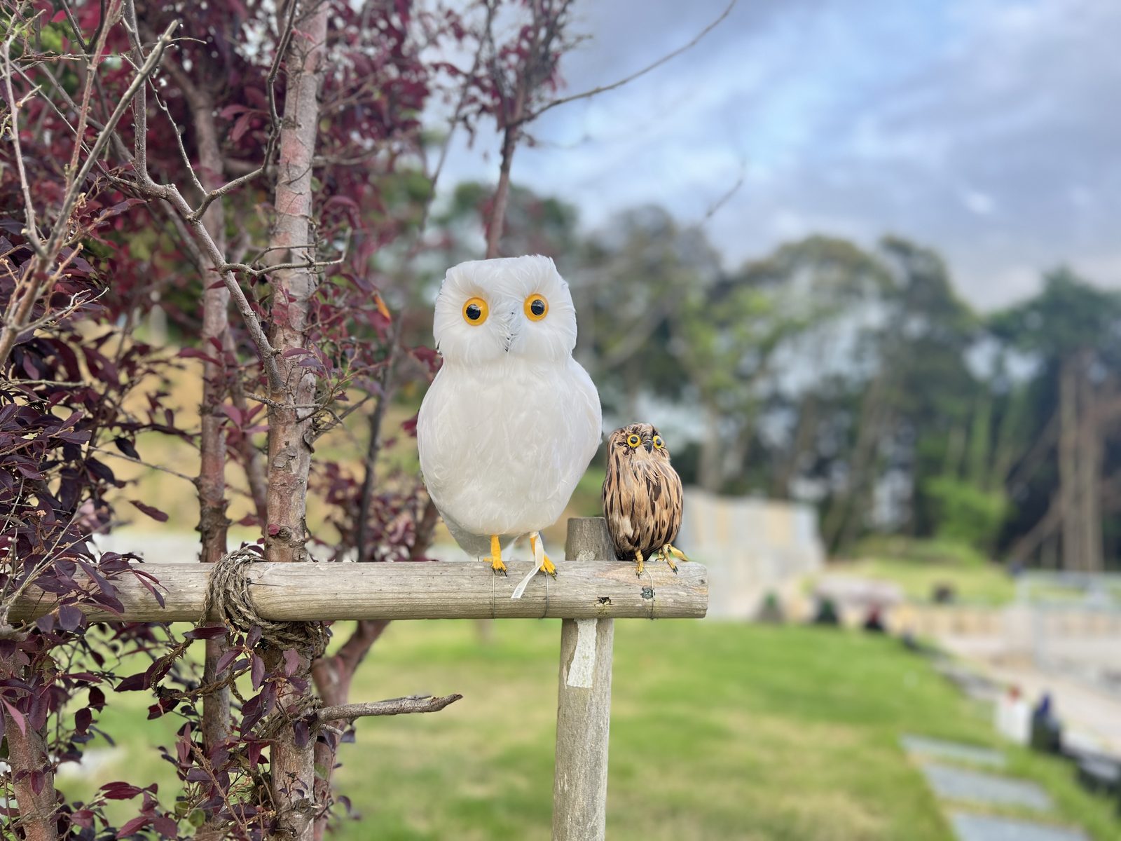大将山霊苑 庭園 ふくろうオブジェ