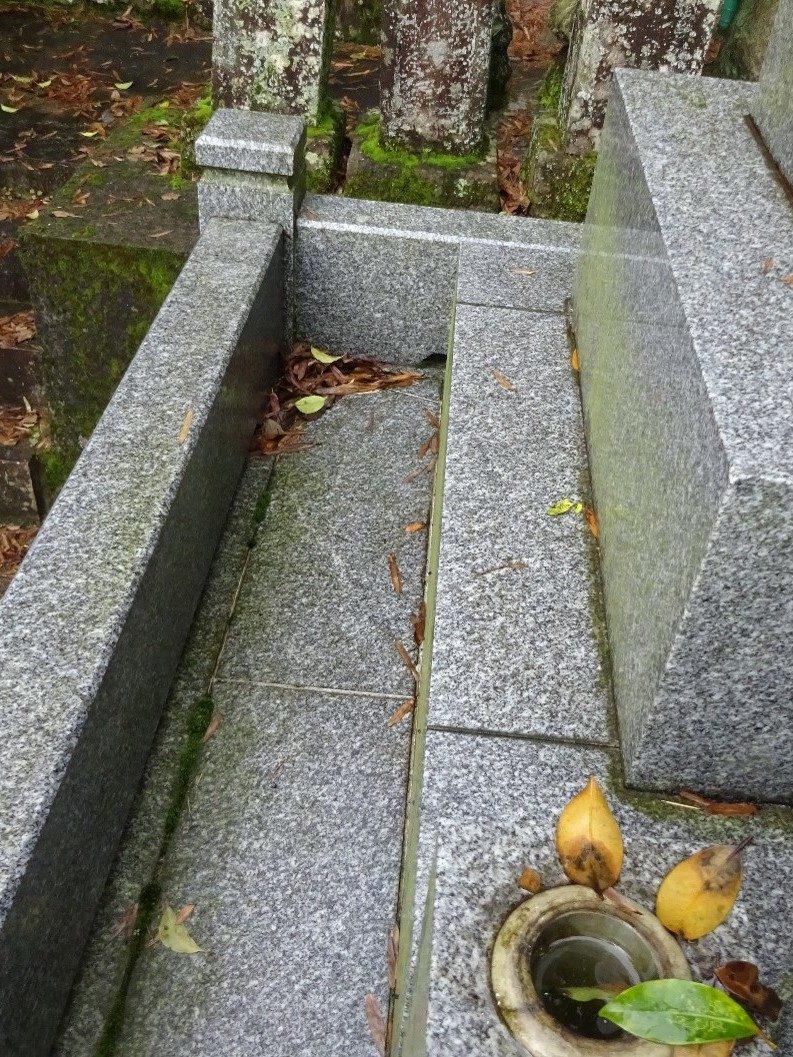 目地補修 施工前 落ち葉やコケが溜まった目地