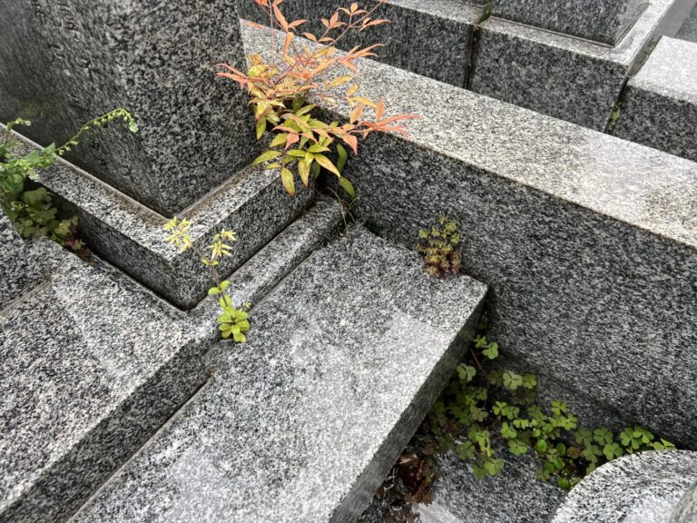お墓の隙間から草が…春によくあるお墓トラブルと対処法